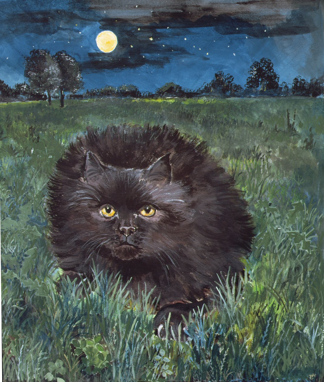 Die Katze und der Mond von Hilary Jones