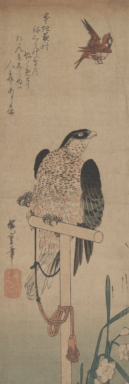 Falke auf der Stange, Spatz und Narzisse von Hirokage Utagawa