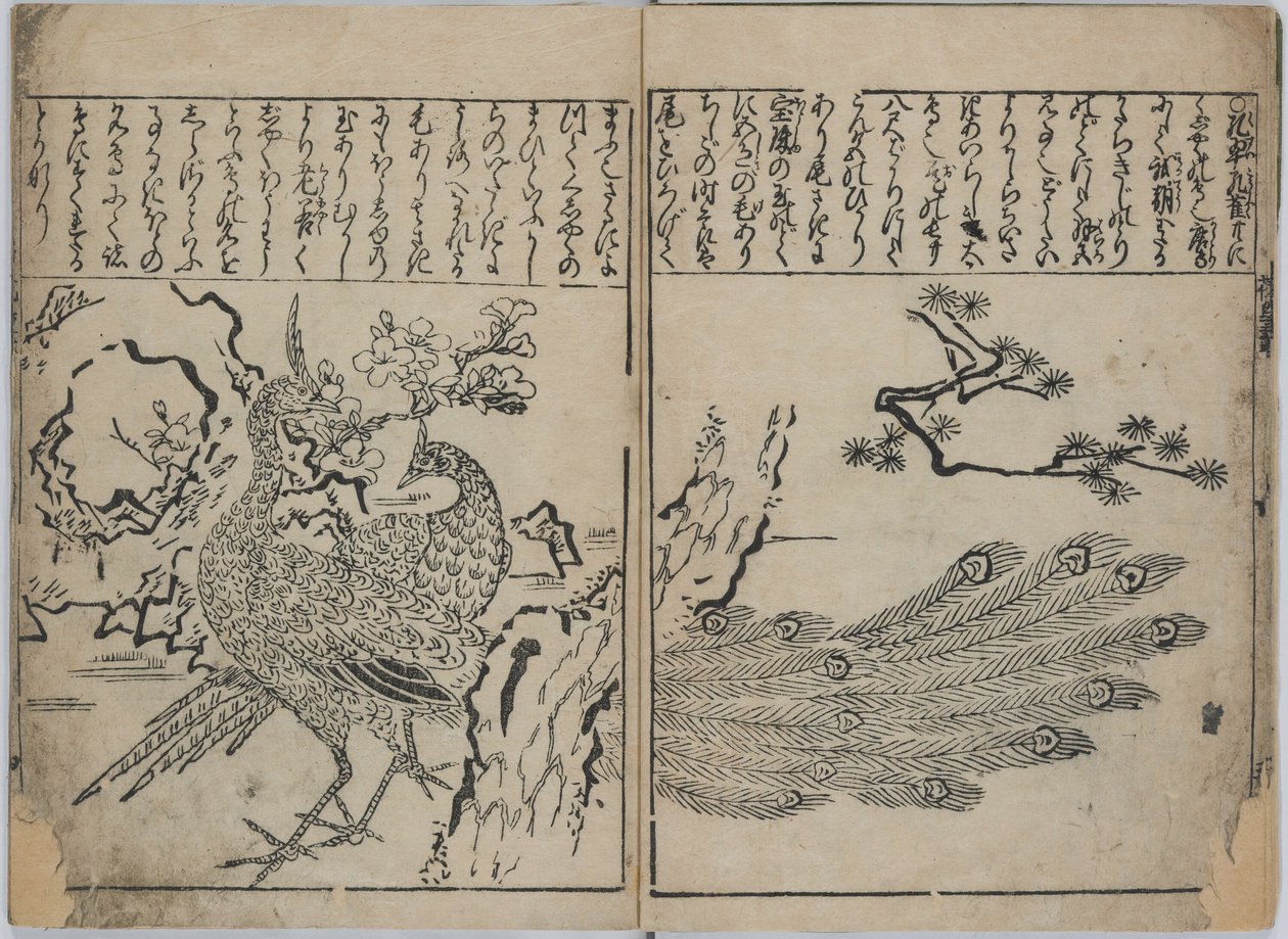 Eine Sammlung von Blumen und Vögeln von Hishikawa Moronobu
