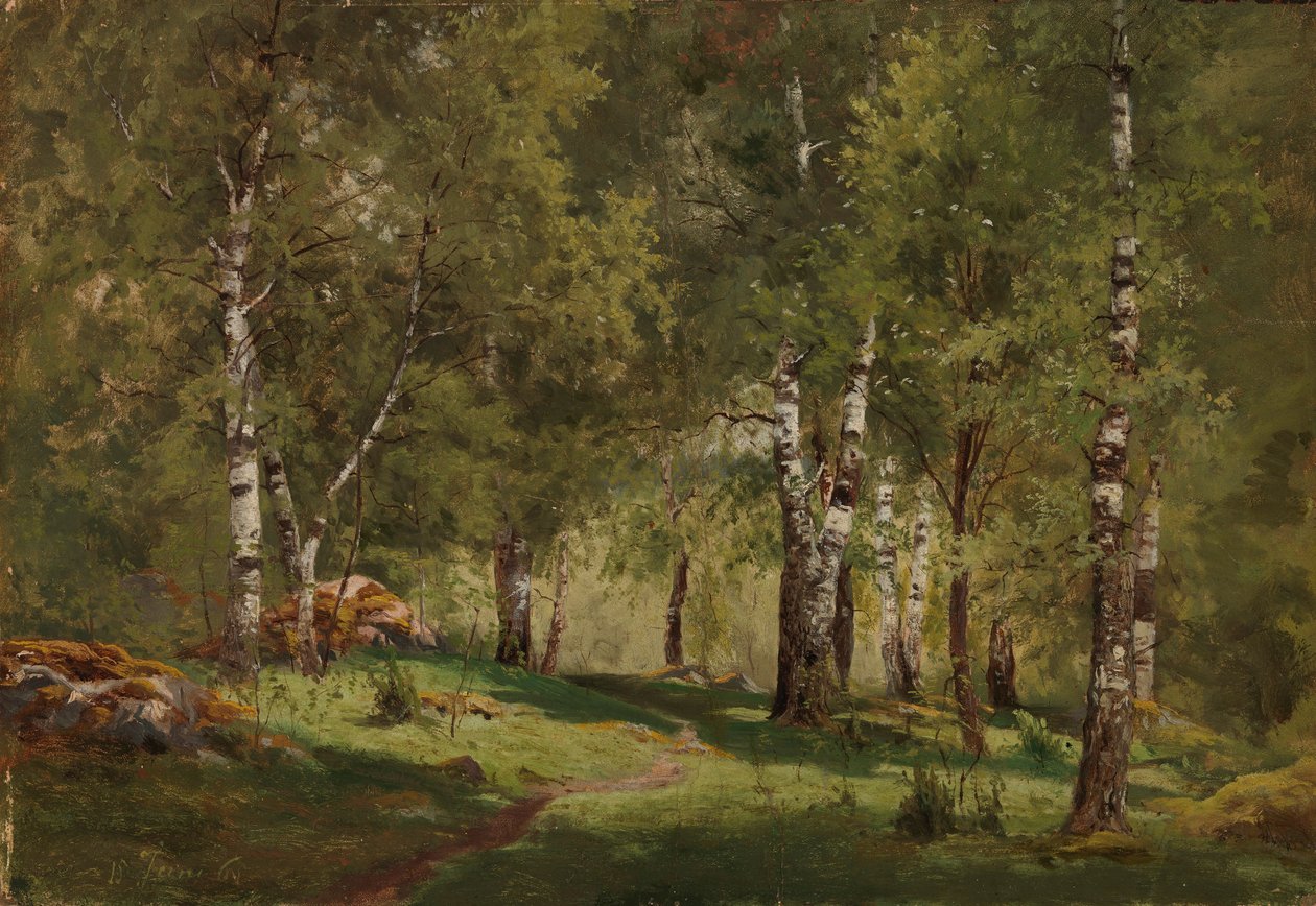 Inneres eines Birkenhains von Hjalmar Munsterhjelm