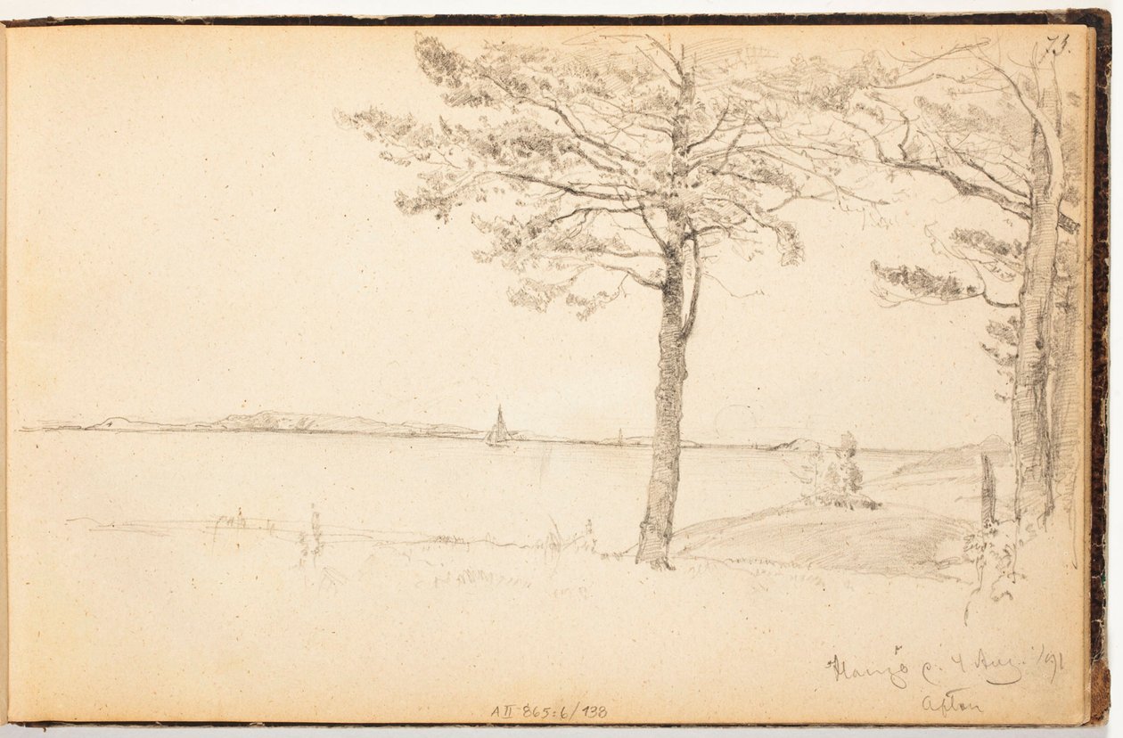 Ohne Titel von Hjalmar Munsterhjelm