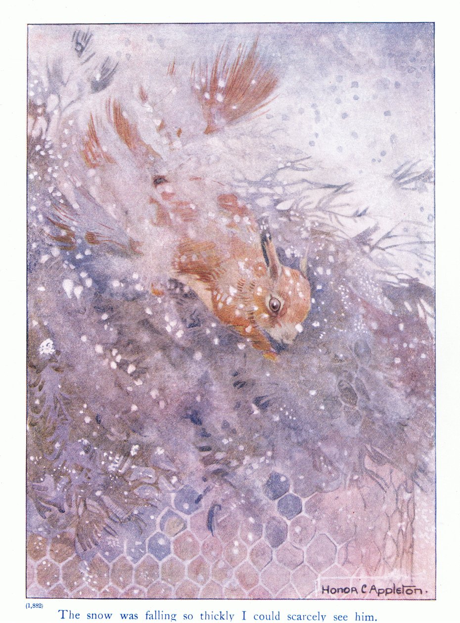 Der Schnee fiel so dicht, dass ich ihn kaum sehen konnte, Illustration aus 