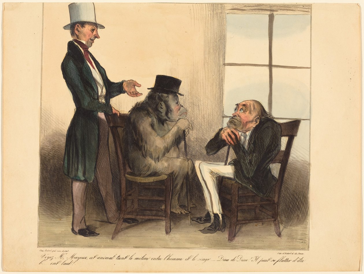 Sehen Sie, Herr Mayeux, dieses Tier... von Honoré Daumier