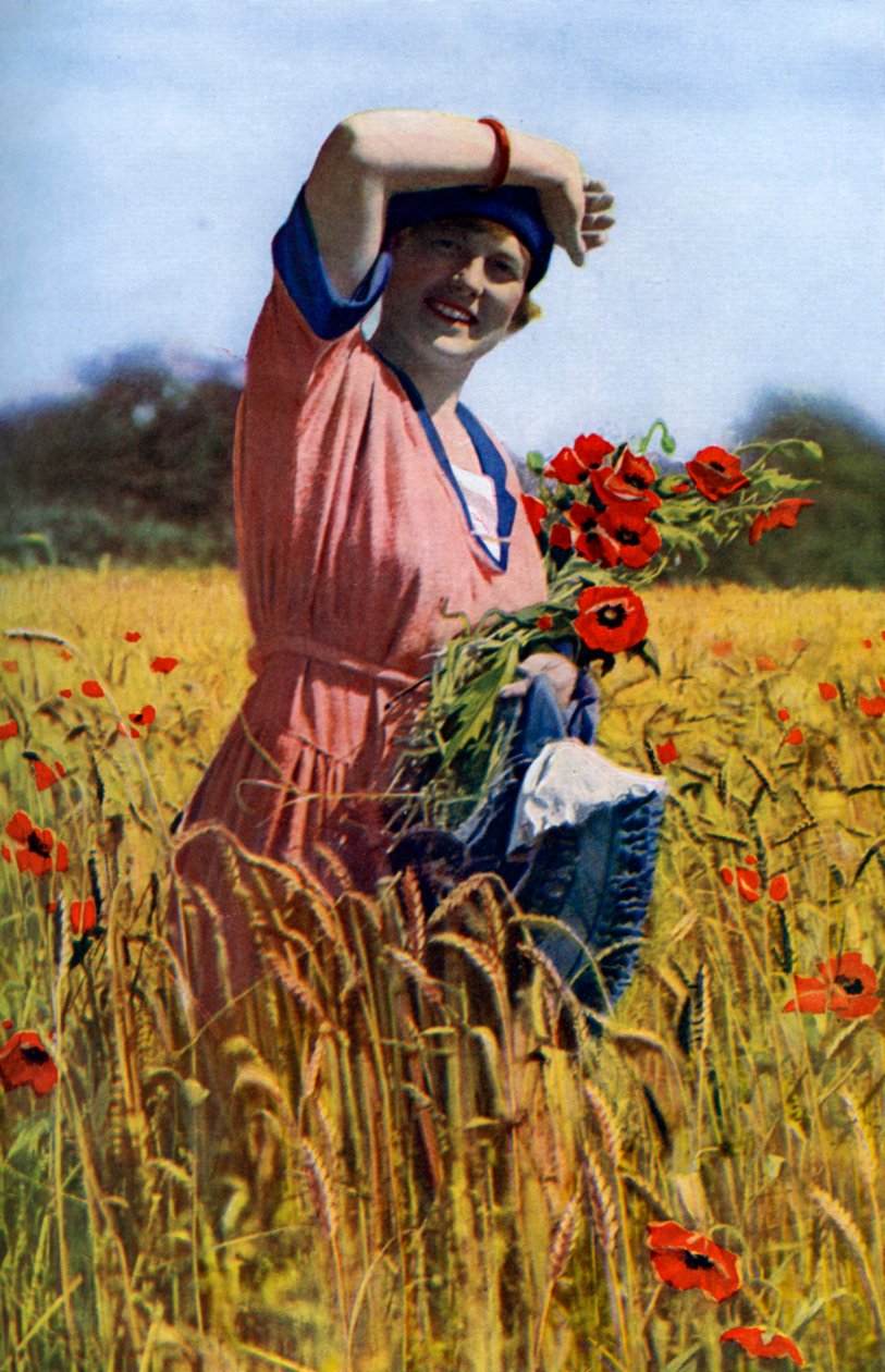 Die englische Rose, ca. 1922 von Horace Walter Nicholls