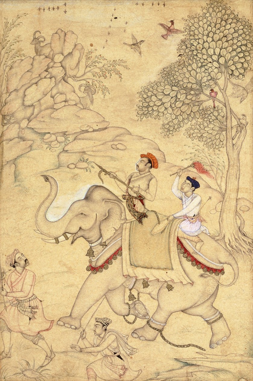 Ein Prinz auf der Jagd, auf einem Elefanten reitend, um 1600-1650 von Indian School