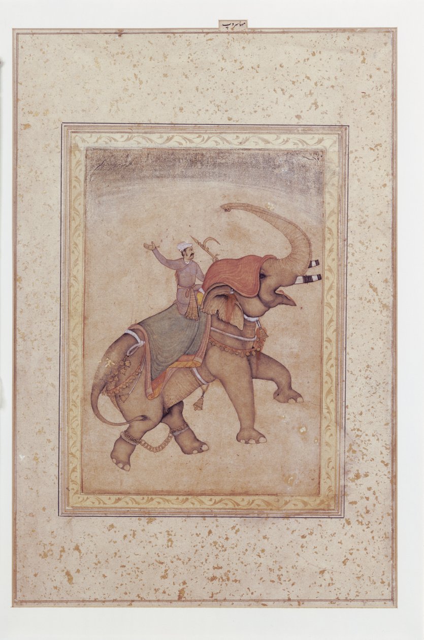 Elefant und Mahout (Elefantenführer), ca. 1595-1600 von Indian School
