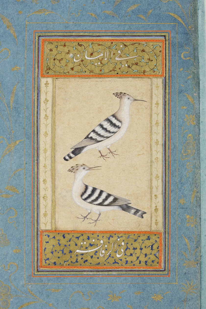 Wiedehopfe von Indian School: Kunstdruck in Museumsqualität