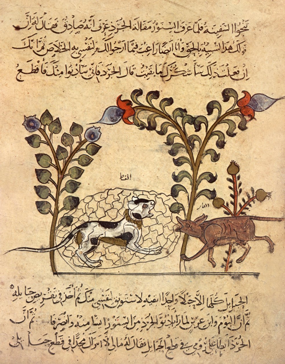 Die Katze und die Ratte, arabische Miniatur aus "Kalila va dimna" von Indian School