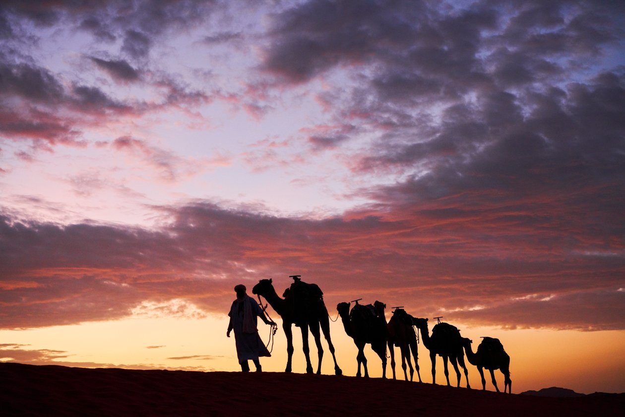 Ein Kameltreiber führt seine Kamele in Erg Chebbi in der Wüste in Merzouga, Marokko, 2019 von Ira Block