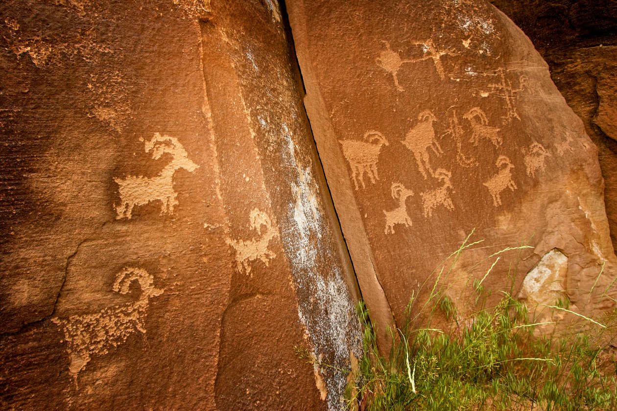 In Nine Mile Canyon, Tafeln von Schafen in der Nähe der Sandhill Crane Petroglyphenstätte, 2005 von Ira Block