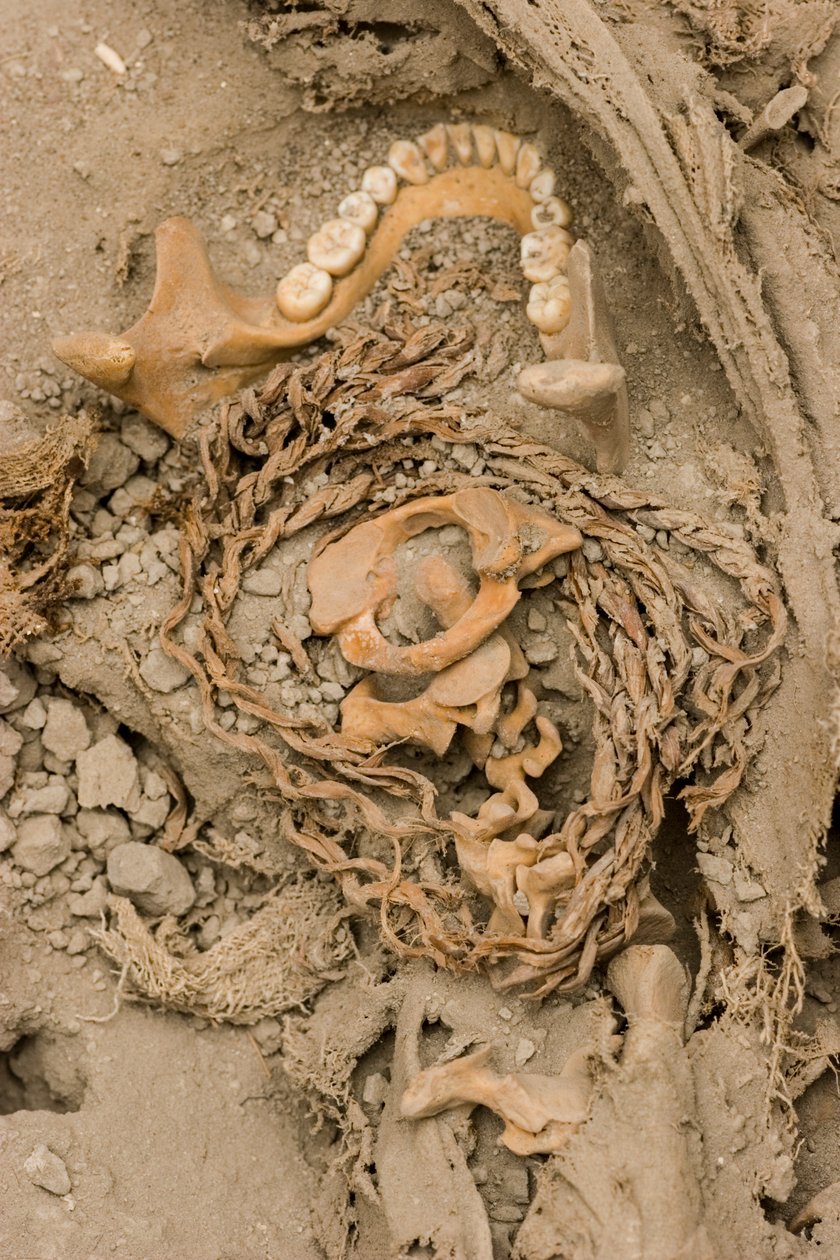 Die Überreste des weiblichen Opfers, 2005 von Ira Block