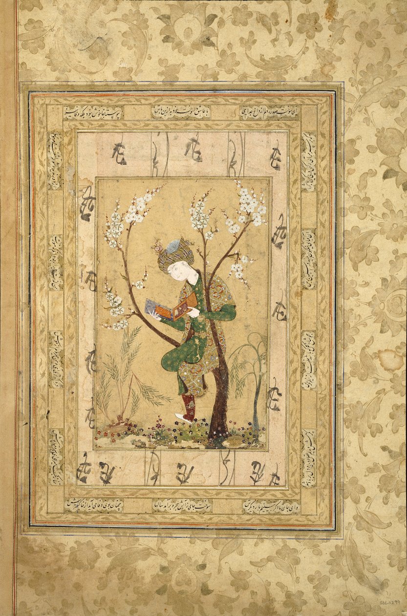 Jugendlicher im Ast eines blühenden Baumes sitzend, 1560er von Iranian Master