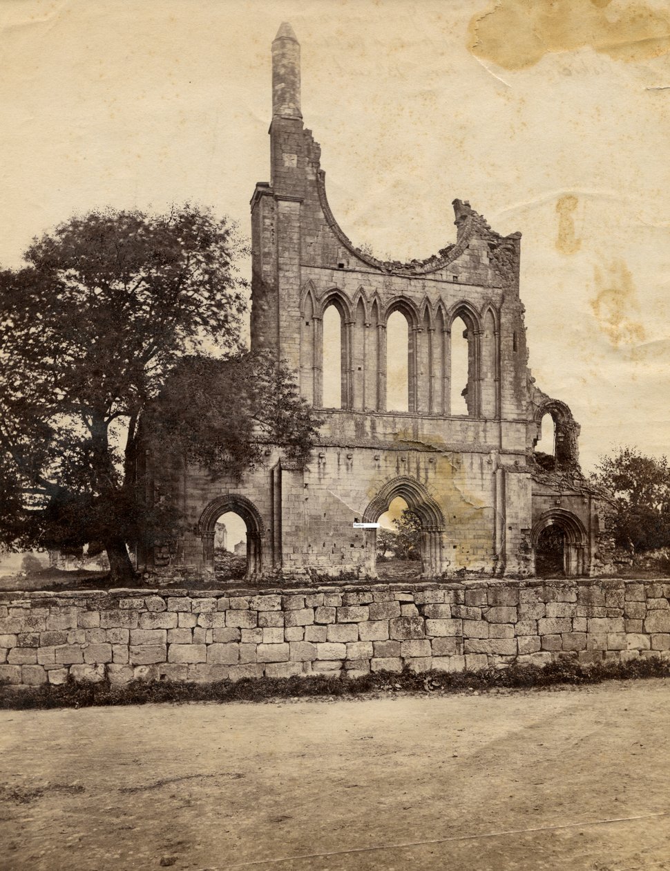 Ruinen der Byland Abbey, von Nordwesten gesehen, Vereinigtes Königreich, circa 1890 von Italian Photographer
