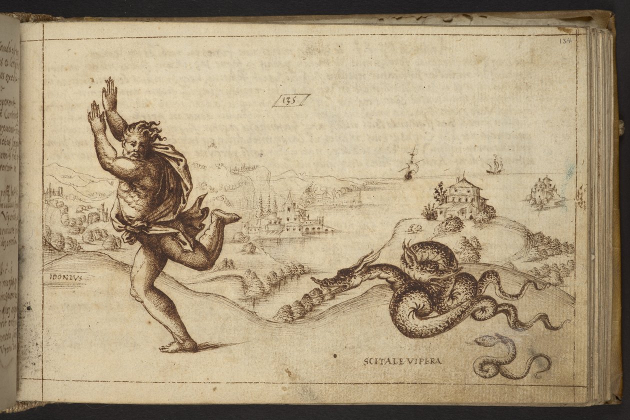 Menschliche Figur von Schlangen verfolgt, aus Historia Animalium von Italian School
