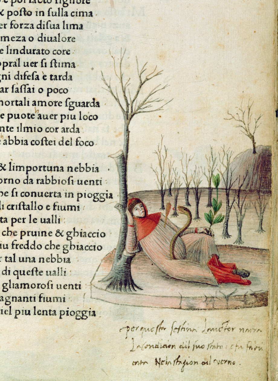 Fol. 52r aus 