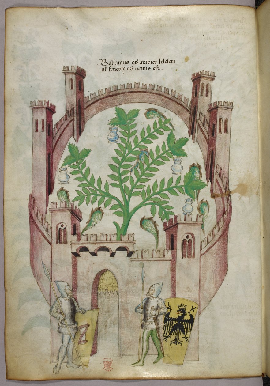 Illustration des Balsamgartens von Kairo (Fustat), mit sieben Wasserbecken und Krügen, um den Balsam zu fangen, eine Pflanze in der Mitte, mit zwei Rittern in Rüstung, die das Tor flankieren, mit Schilden mit Wappen, um 1440 von Italian School
