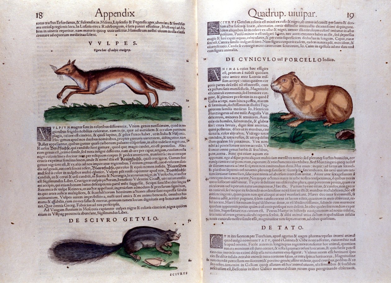 Illustrationen aus 