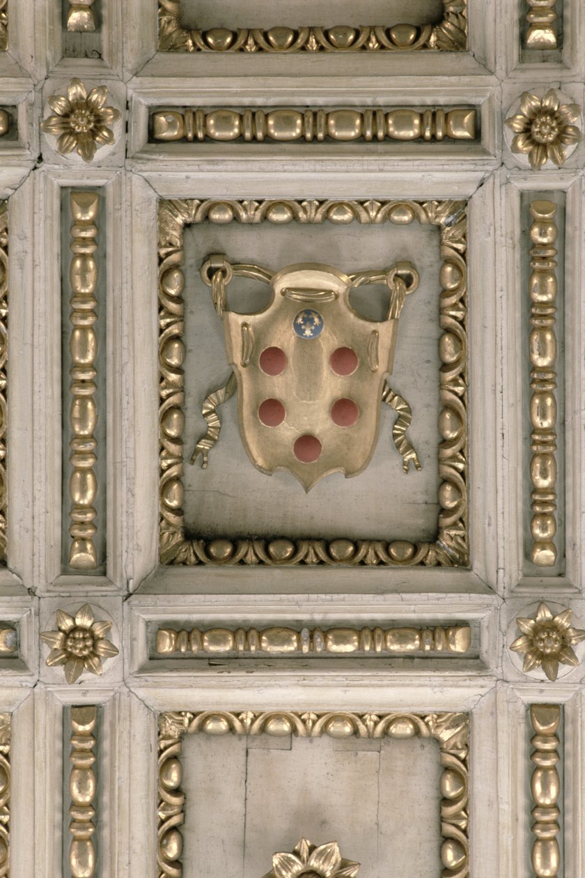 Medici-Wappen, vom Gesims der Kirche von Italian School