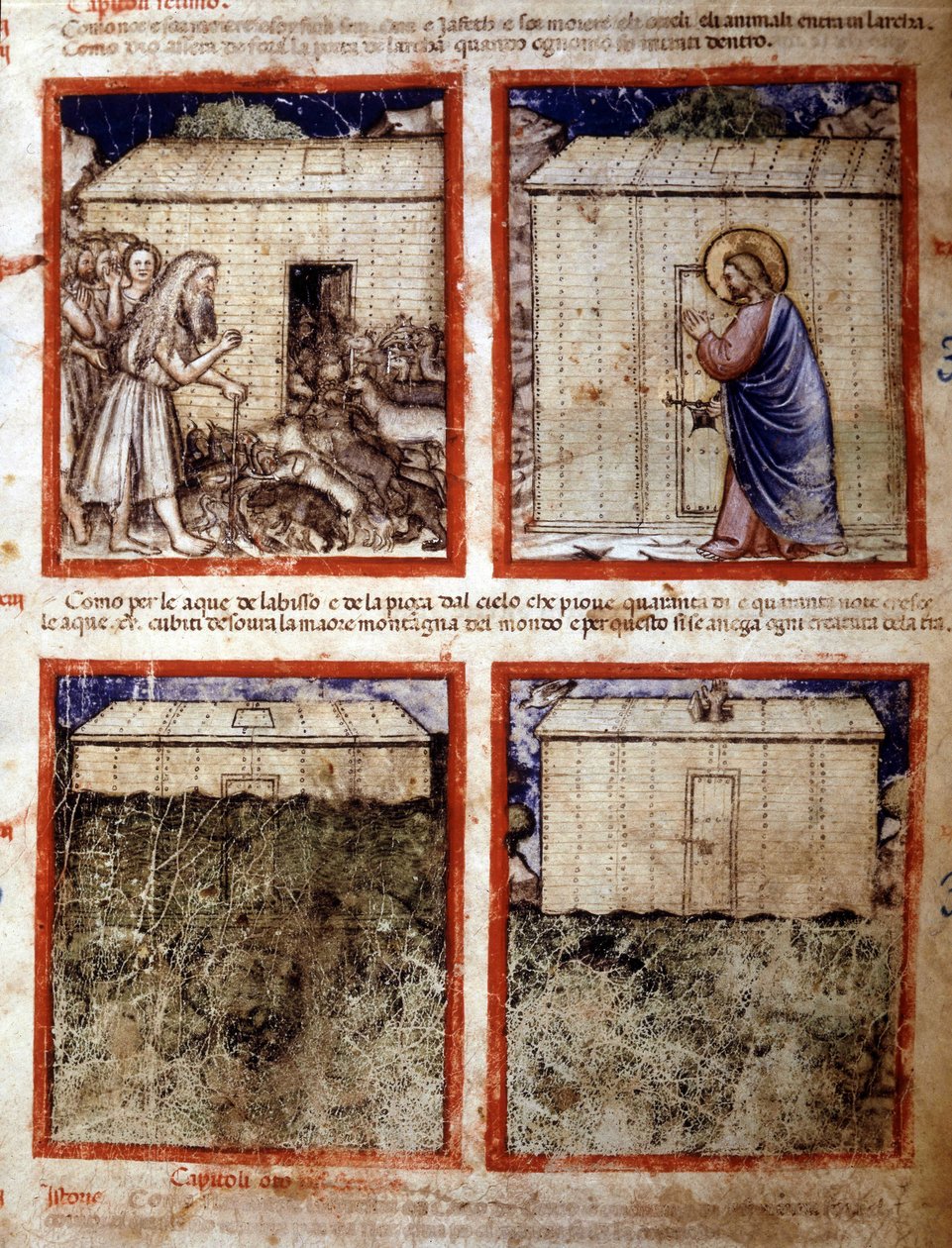 Noahs Arche, Miniatur aus Codex 212 (oder Padovano Codice oder Bibel von Padua) 1390-1400 Rovigo, Accademia dei Concordi von Italian School