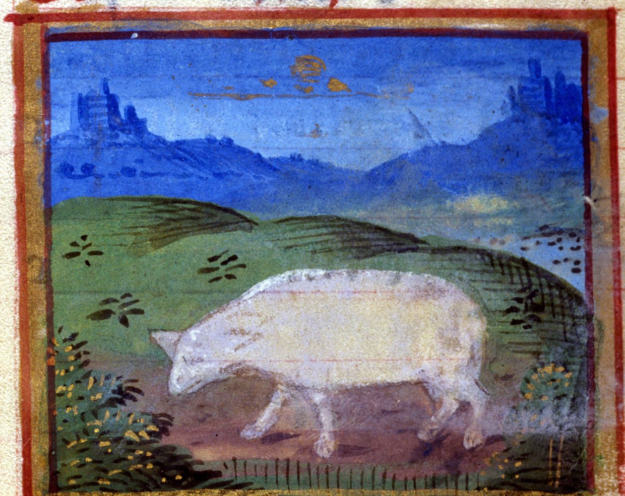 Zeichen des Widders. Italienisches Horoskop, Mitte des 15. Jahrhunderts von Italian School