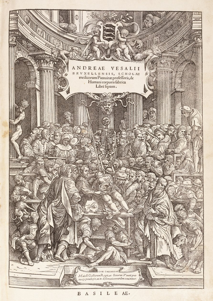 Der Autor führt eine anatomische Dissektion in einem Operationssaal durch, 1543 von Italian School