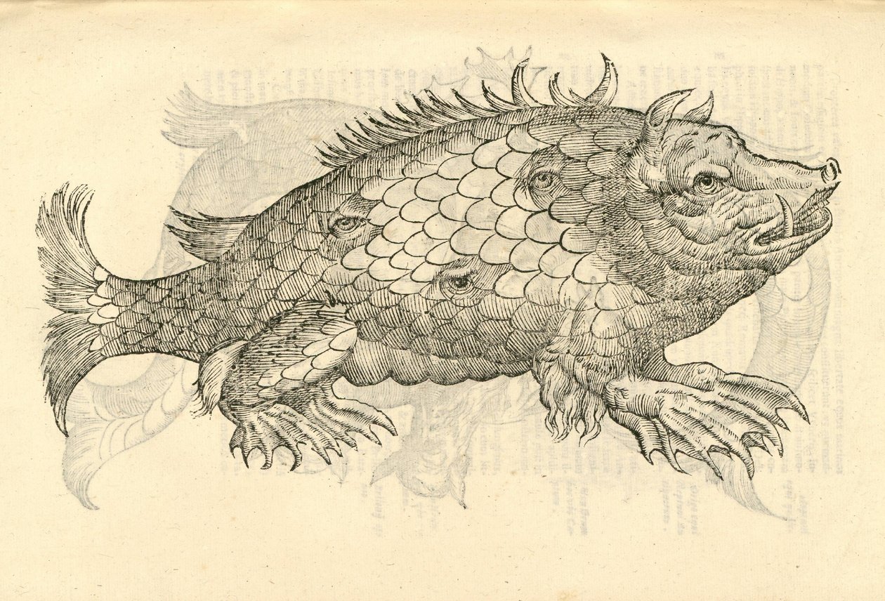 Illustration von Monstrosus Sur marinus aus Aldrovandis Geschichte der Monster, 1642 von Italian School