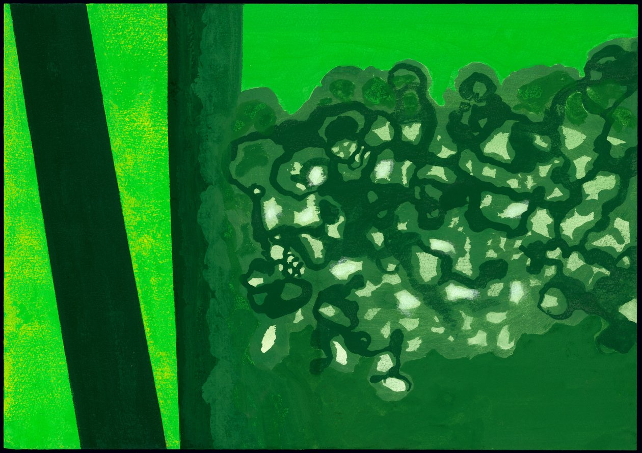 Kensington Gardens Serie: Canopy Shadows, 2007 von Izabella Godlewska de Aranda