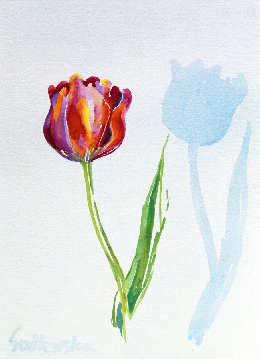 Tulpe, 1998 von Izabella Godlewska de Aranda