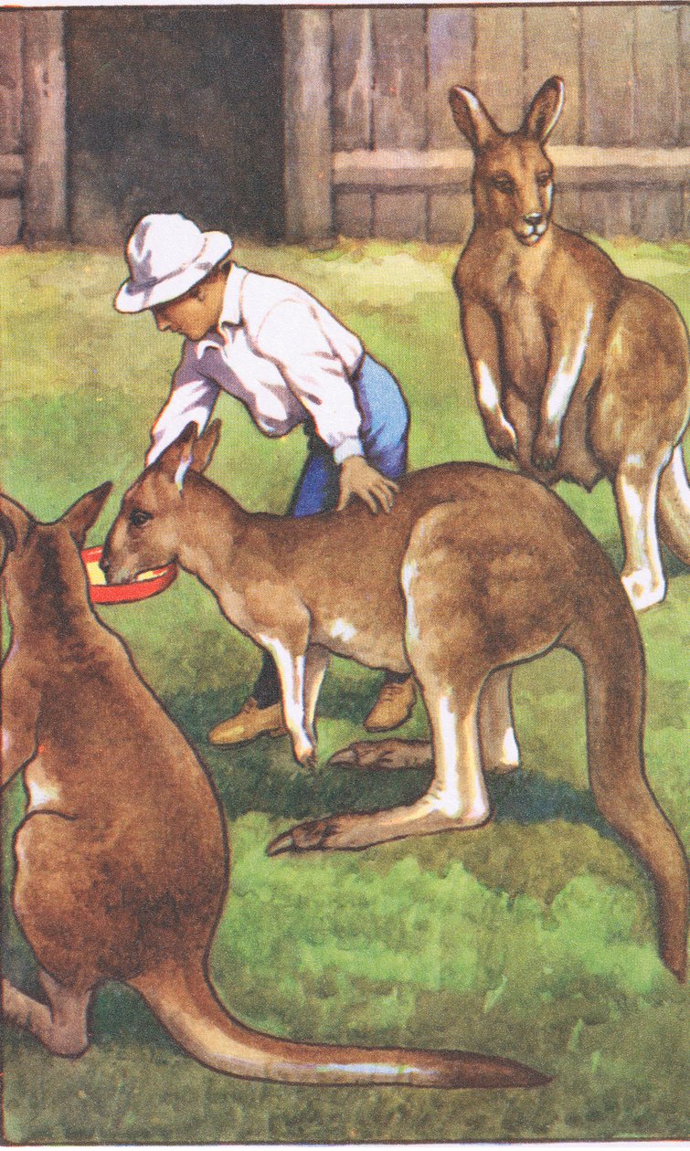 Australischer Junge, aus MacMillan Schulposter, ca. 1950-60er von J. Macfarlane