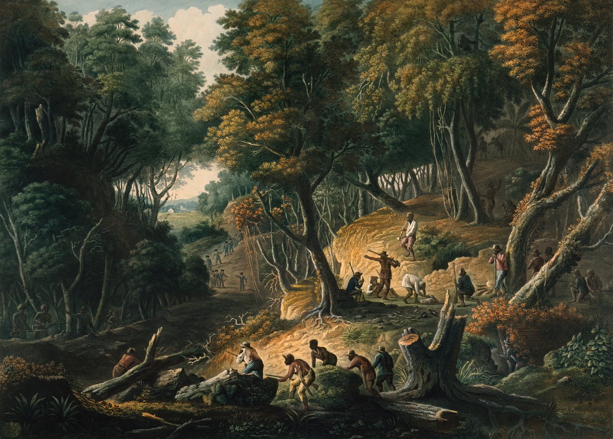 Die Maroons im Hinterhalt auf dem Dromilly-Anwesen in der Gemeinde Trelawney von J. Merigot