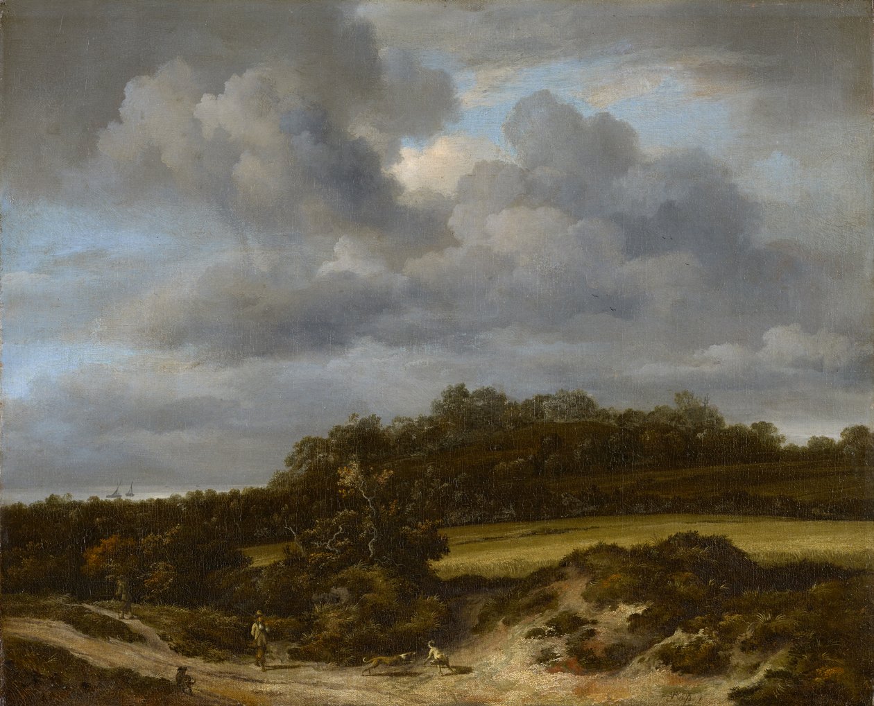 Kornfeld, 1660 von Jacob van Ruisdael: Kunstdruck kaufen