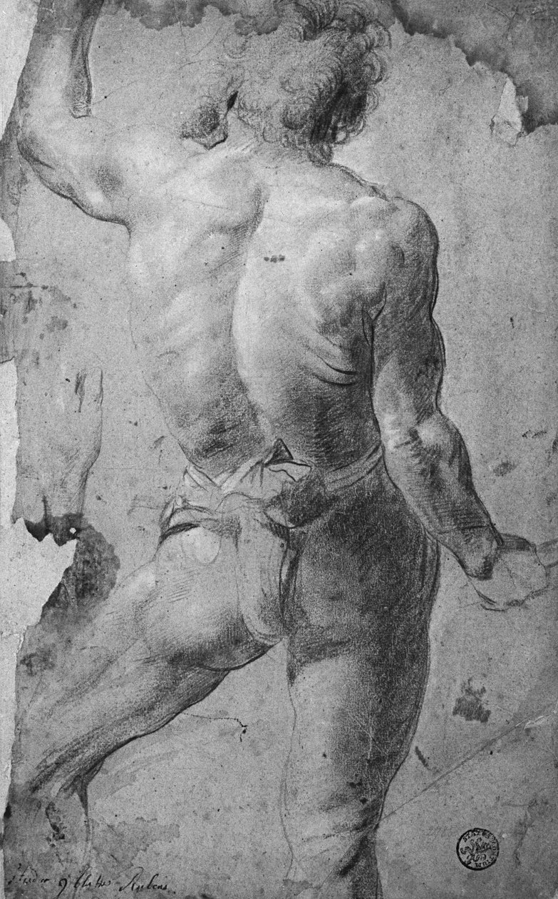 Stehender männlicher Akt von Jacob Jordaens