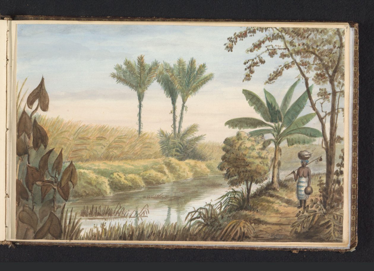 Ansicht eines Feldes mit Zuckerrohrplantage Visserszorg von Jacob Marius Adriaan Martini van Geffen