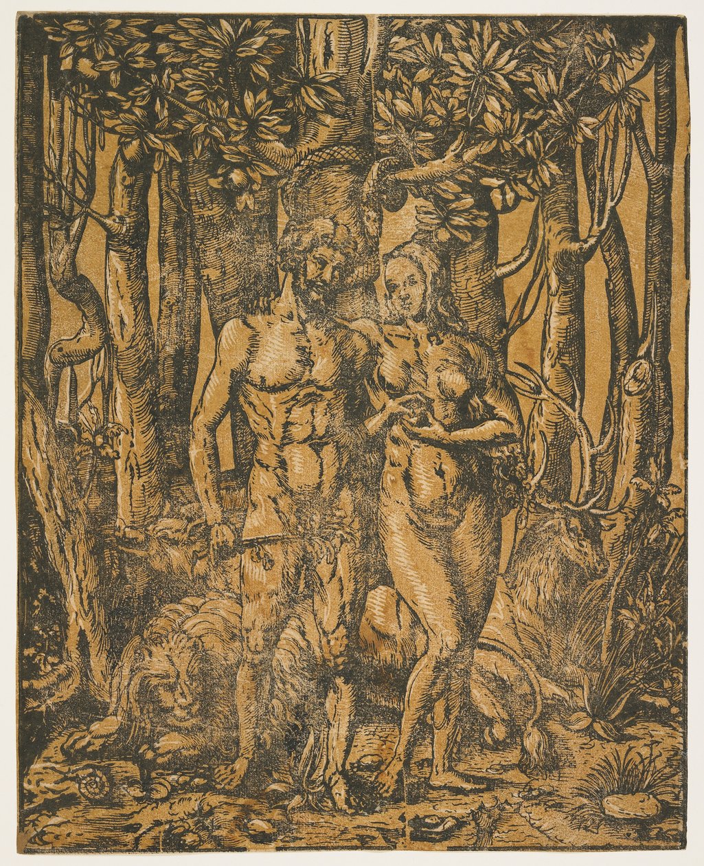 Adam und Eva, 16. Jahrhundert von Jacob the Elder attr. to Lucius