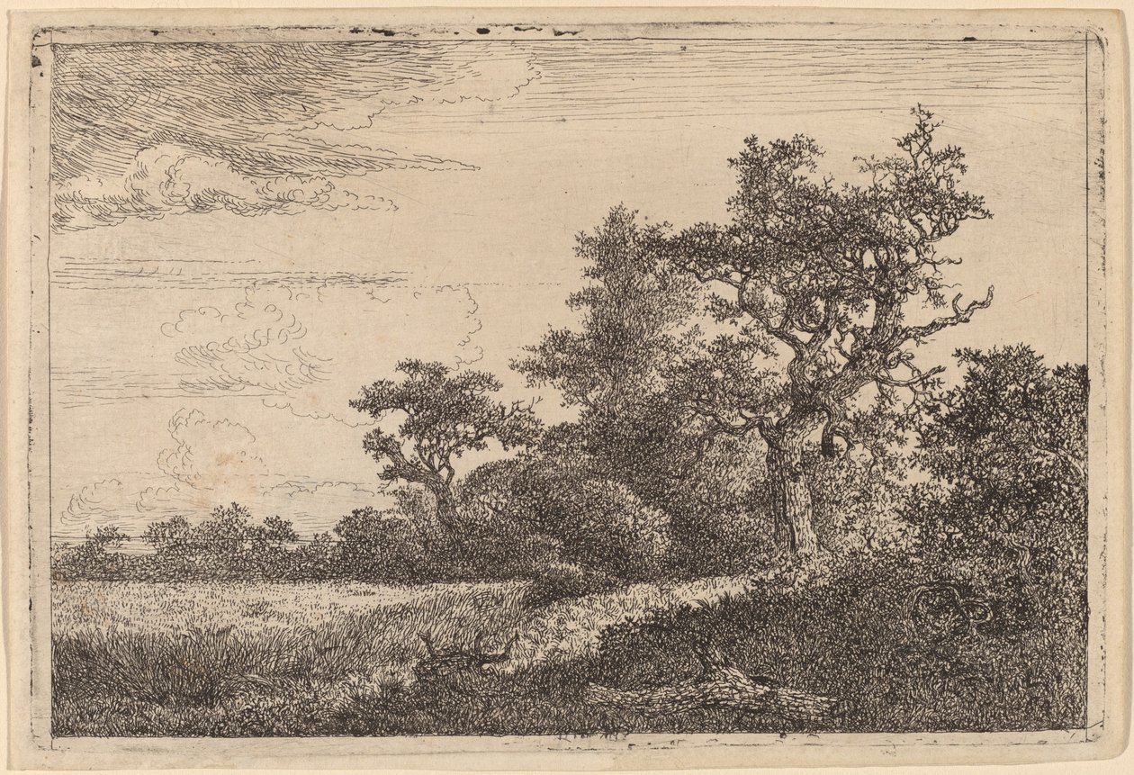 Getreidefeld am Waldrand von Jacob van Ruisdael