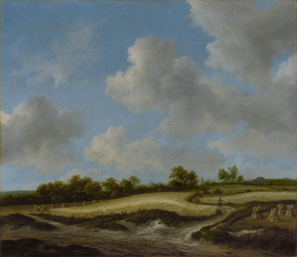 Landschaft mit einem Weizenfeld von Jacob van Ruisdael