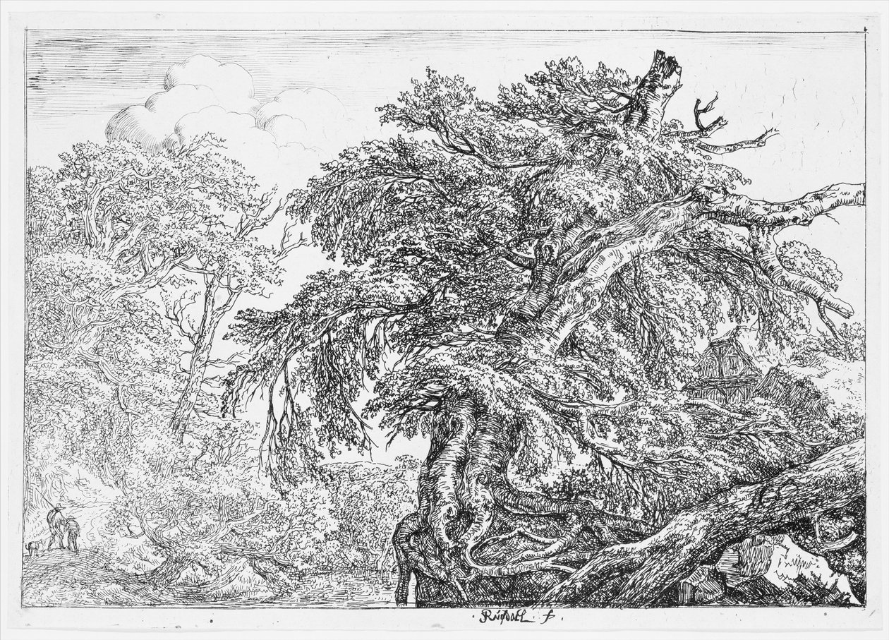 Die große Buche von Jacob van Ruisdael