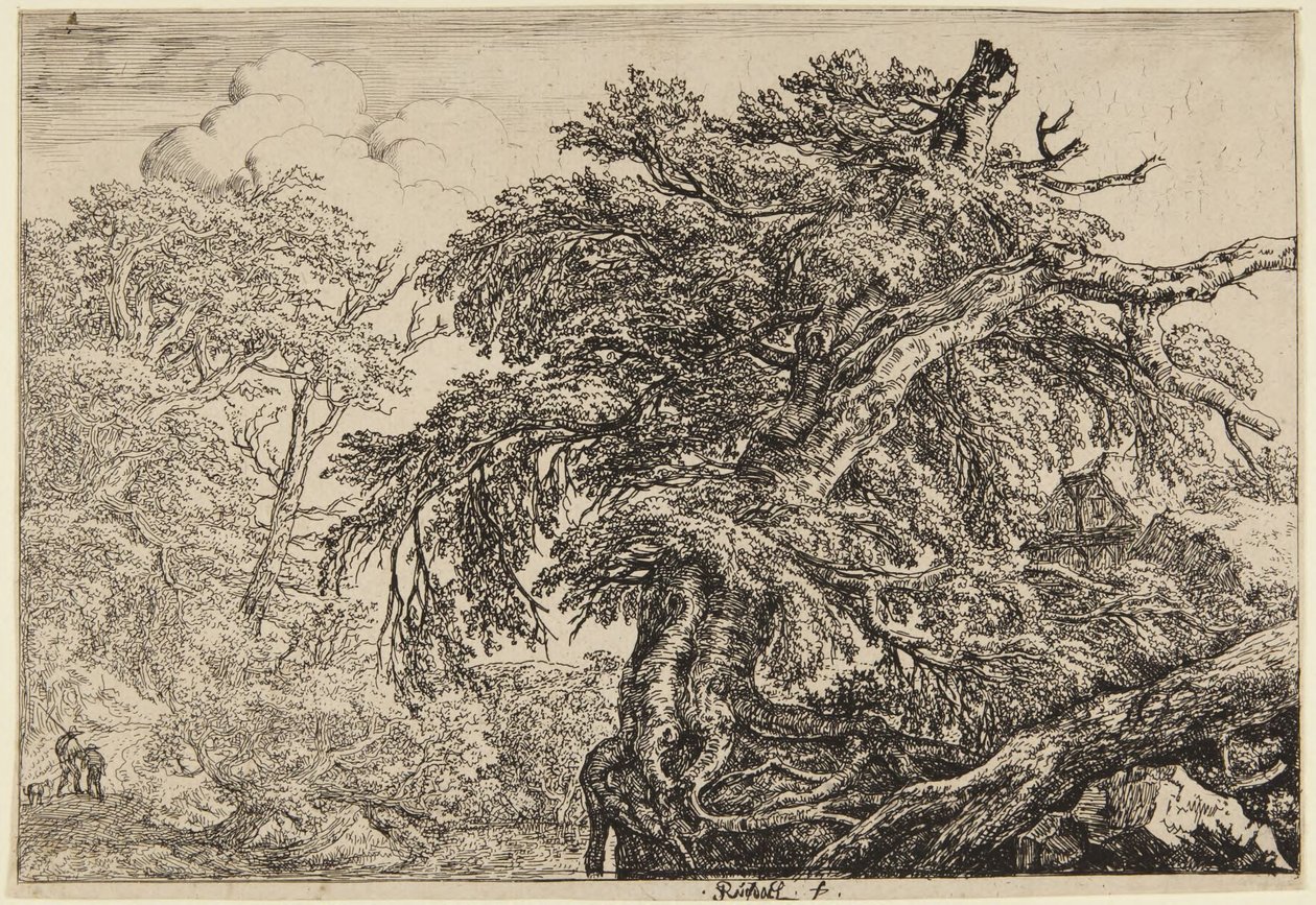 Zwei Bauern mit ihrem Hund von Jacob van Ruisdael