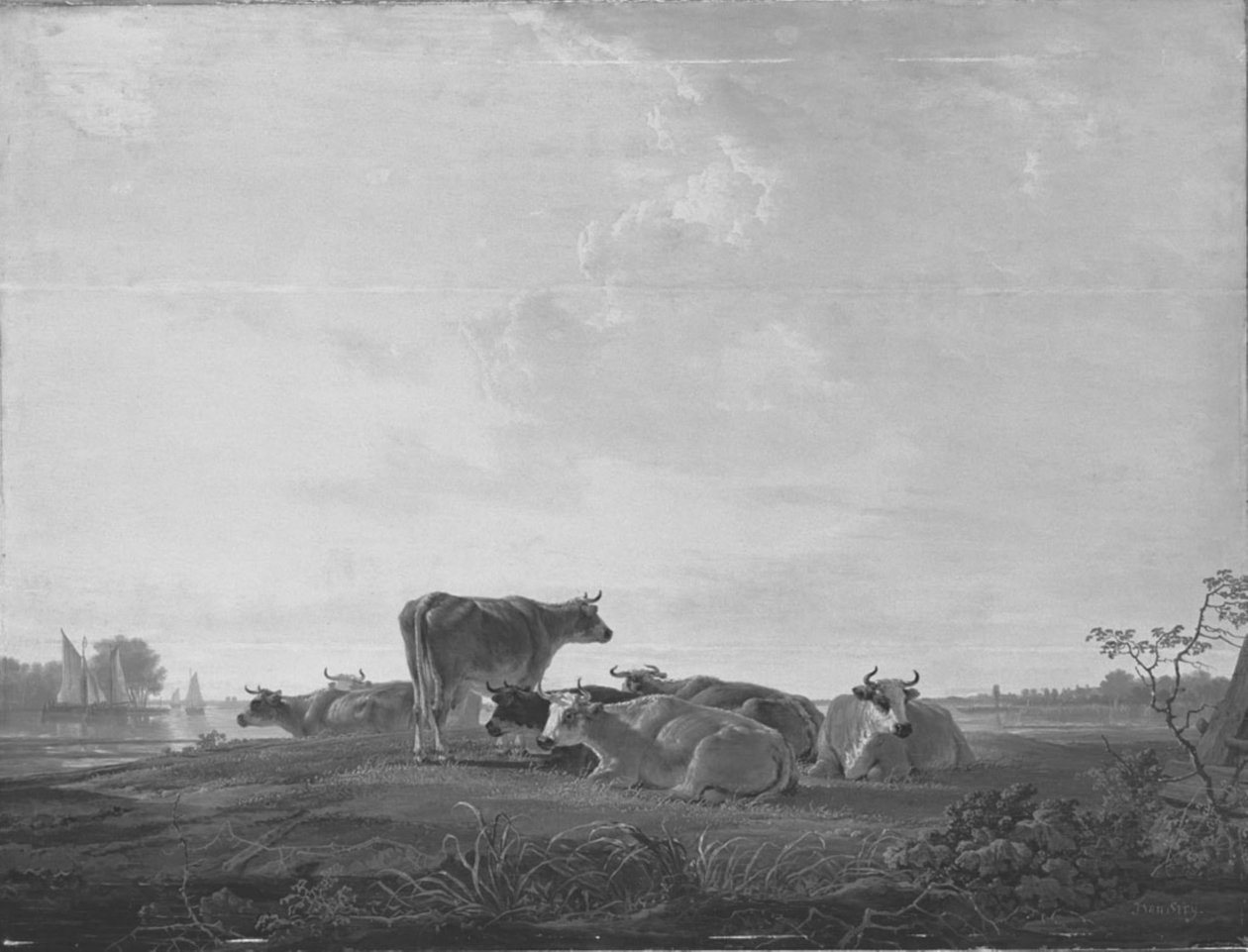 Ruhendes Vieh am Ufer von Jacob van Strij