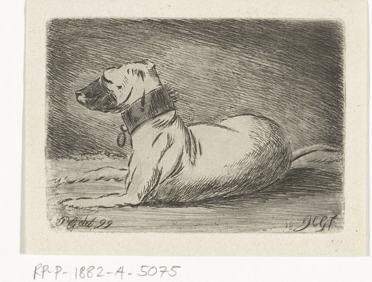 Liegender Hund mit Halsband von Jacobus Cornelis Gaal