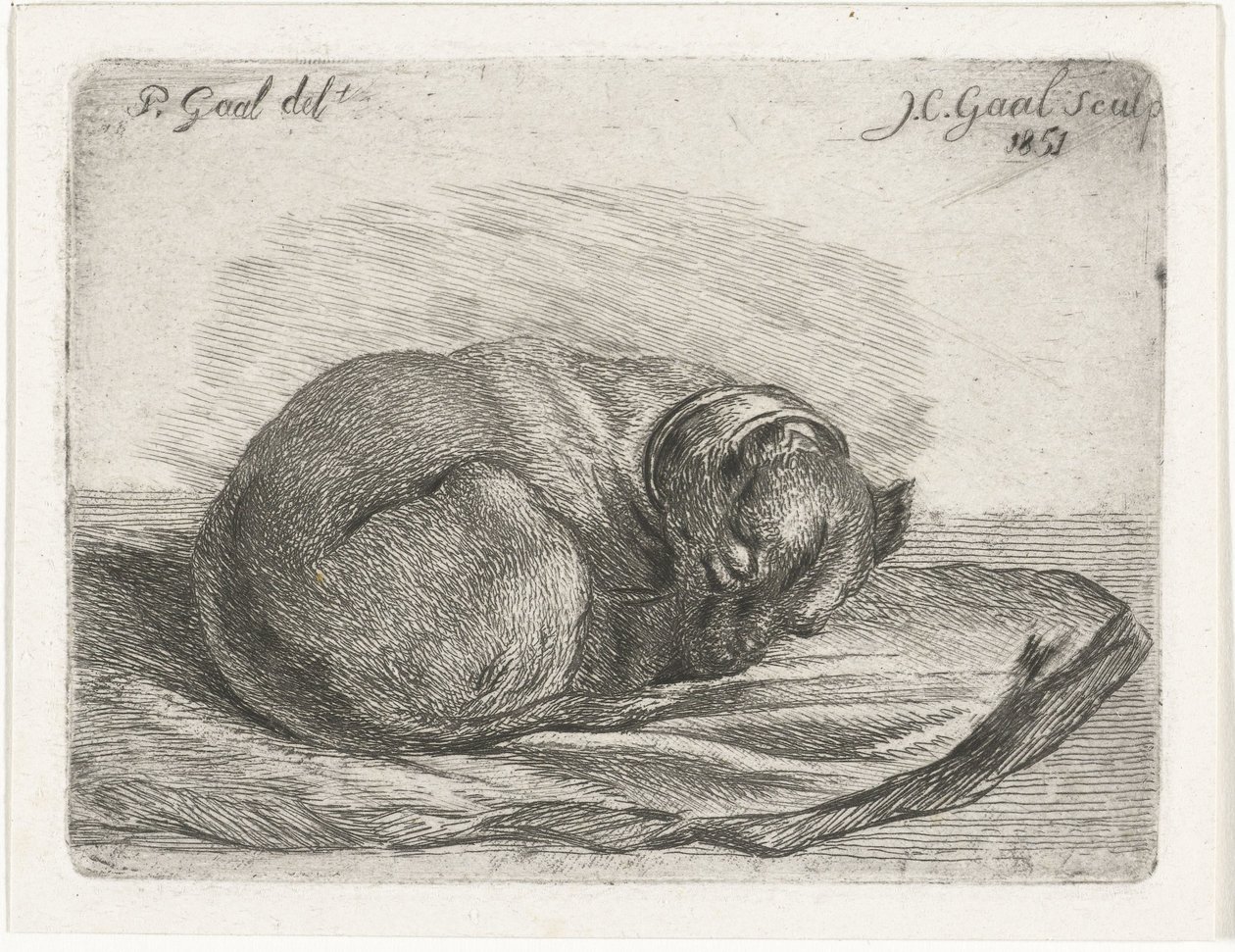 Schlafender Hund, liegend auf einer Decke von Jacobus Cornelis Gaal