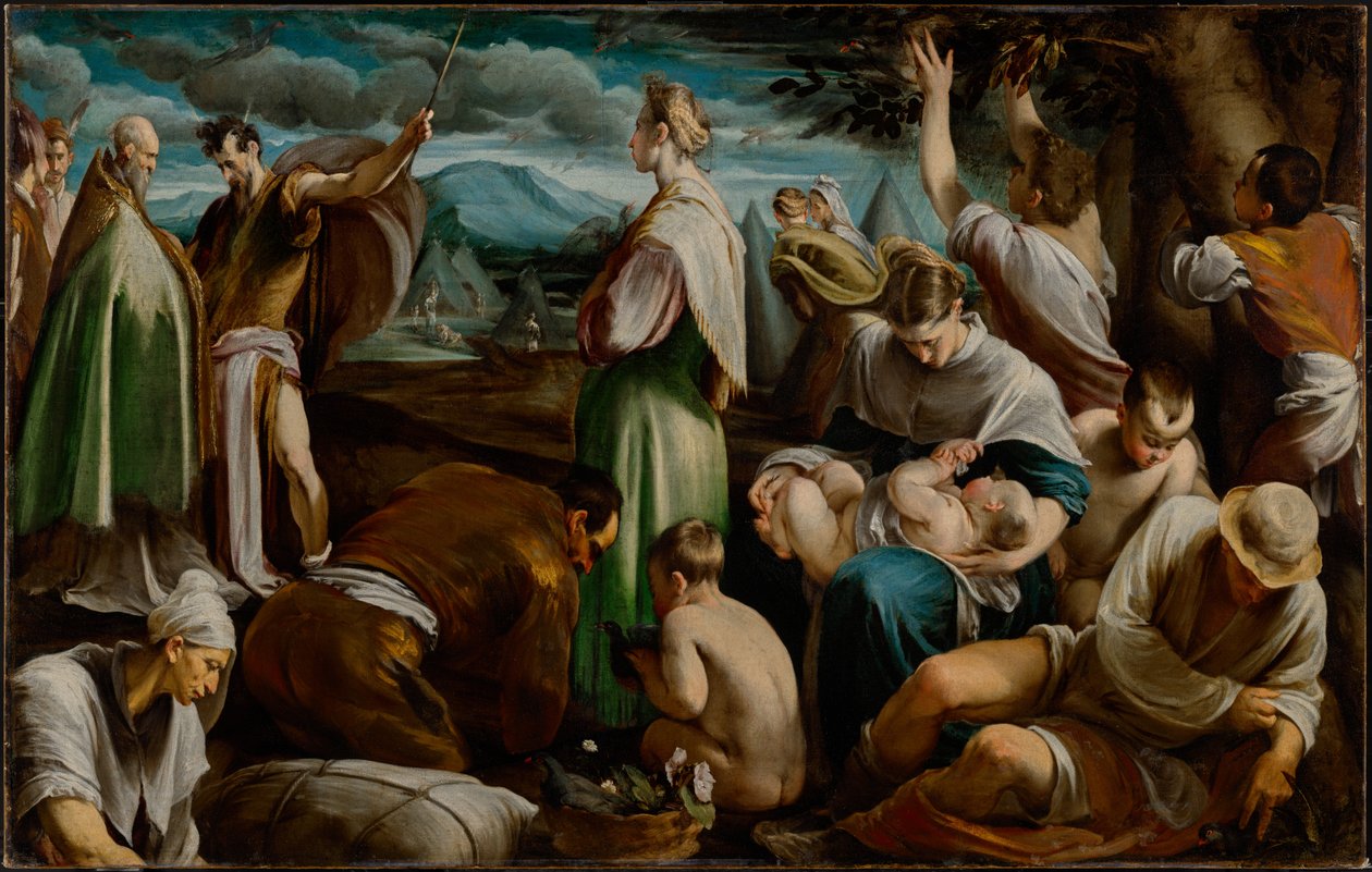 Das Wunder der Wachteln von Jacopo Bassano