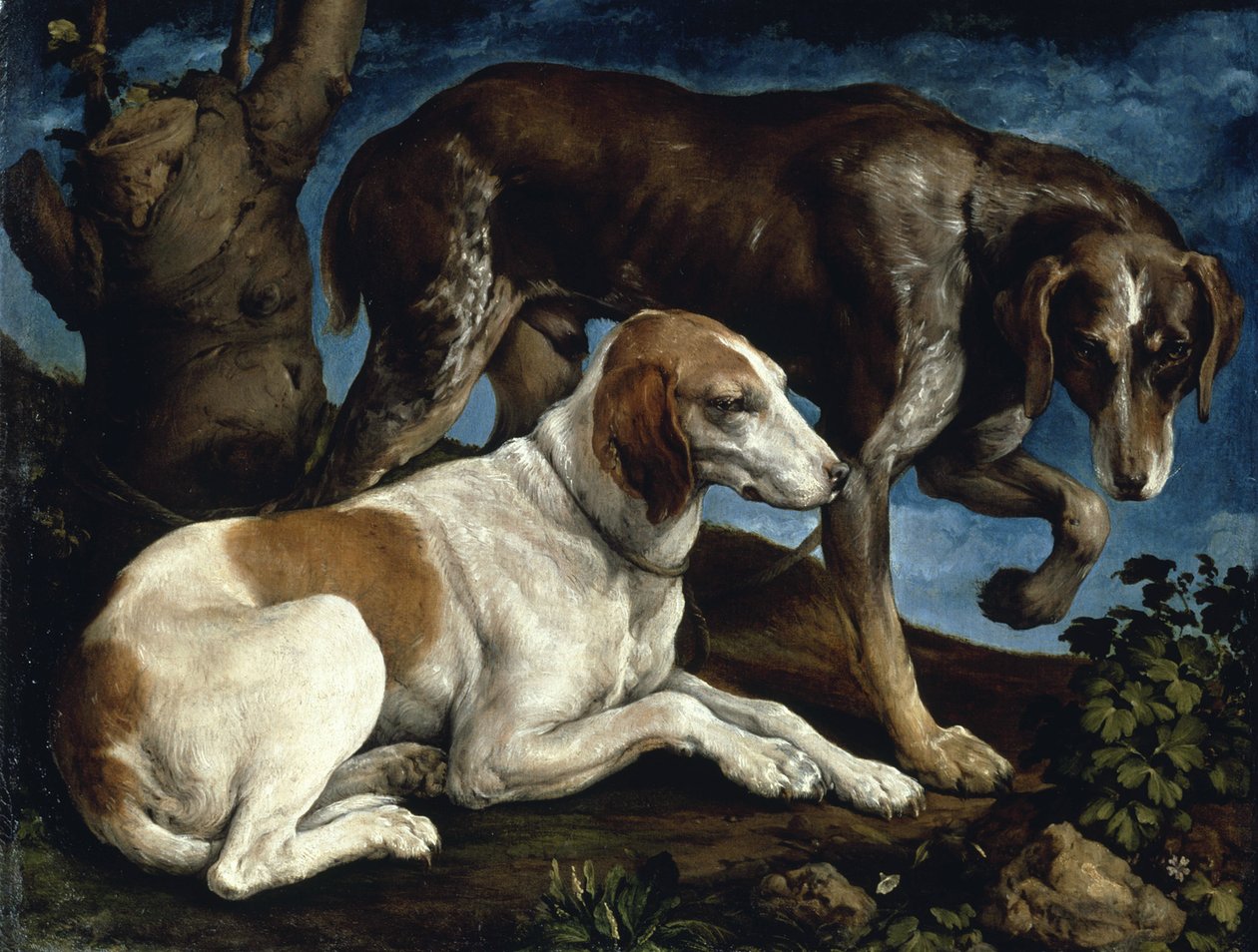 Zwei Jagdhunde, 1548-1549 von Jacopo Bassano il vecchio