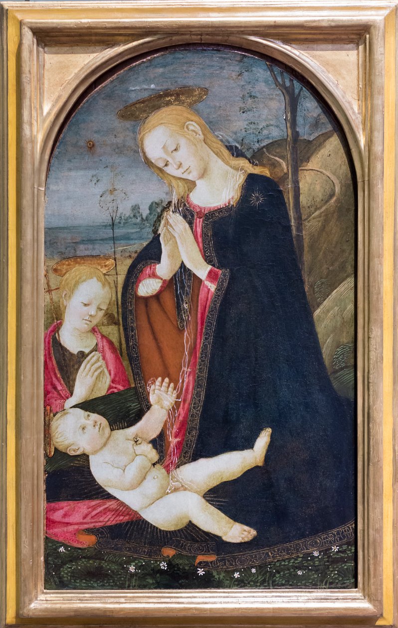 Anbetung Christi mit dem jungen Johannes dem Täufer von Jacopo del Sellaio