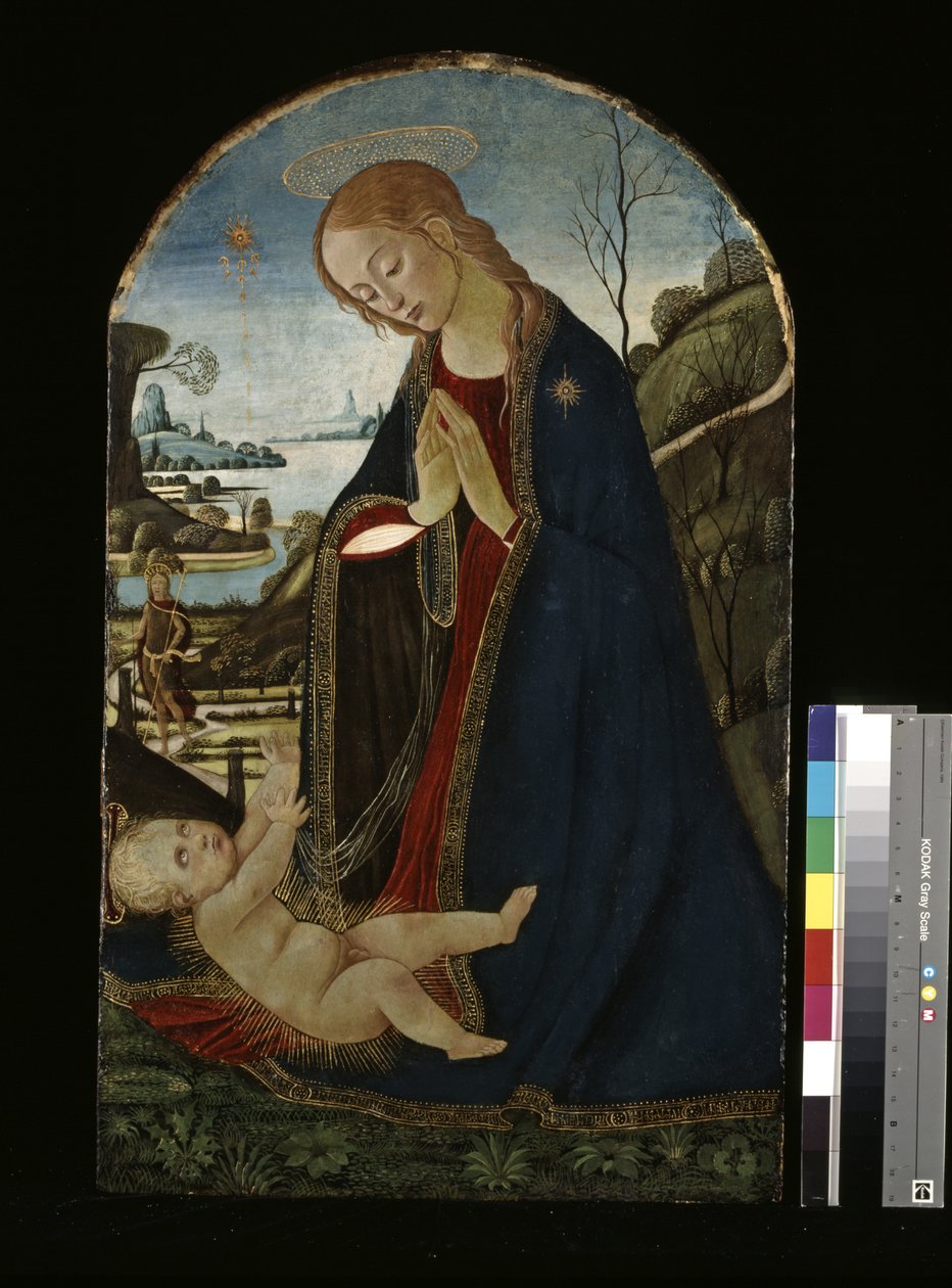 Madonna, die das Christkind anbetet von Jacopo del Sellaio
