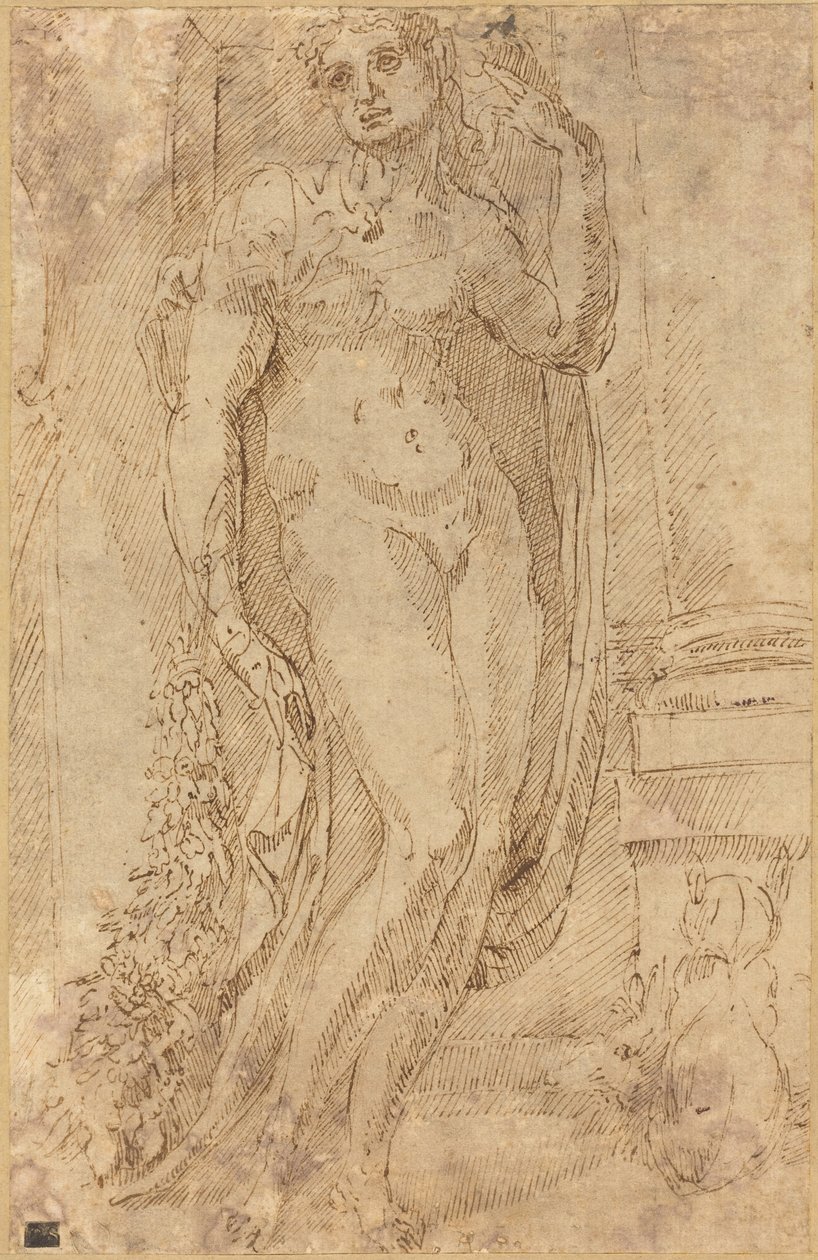 Allegorische Figur mit einer Katze und einem Schwein, um 1530 von Jacopo di Giovanni di Francesco