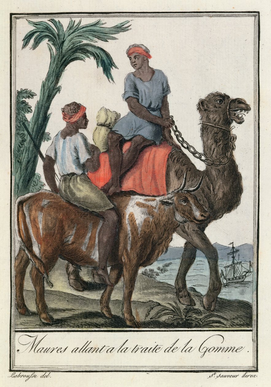 Mauren handeln mit Gummi (Mauretanien oder Senegambien), aus 