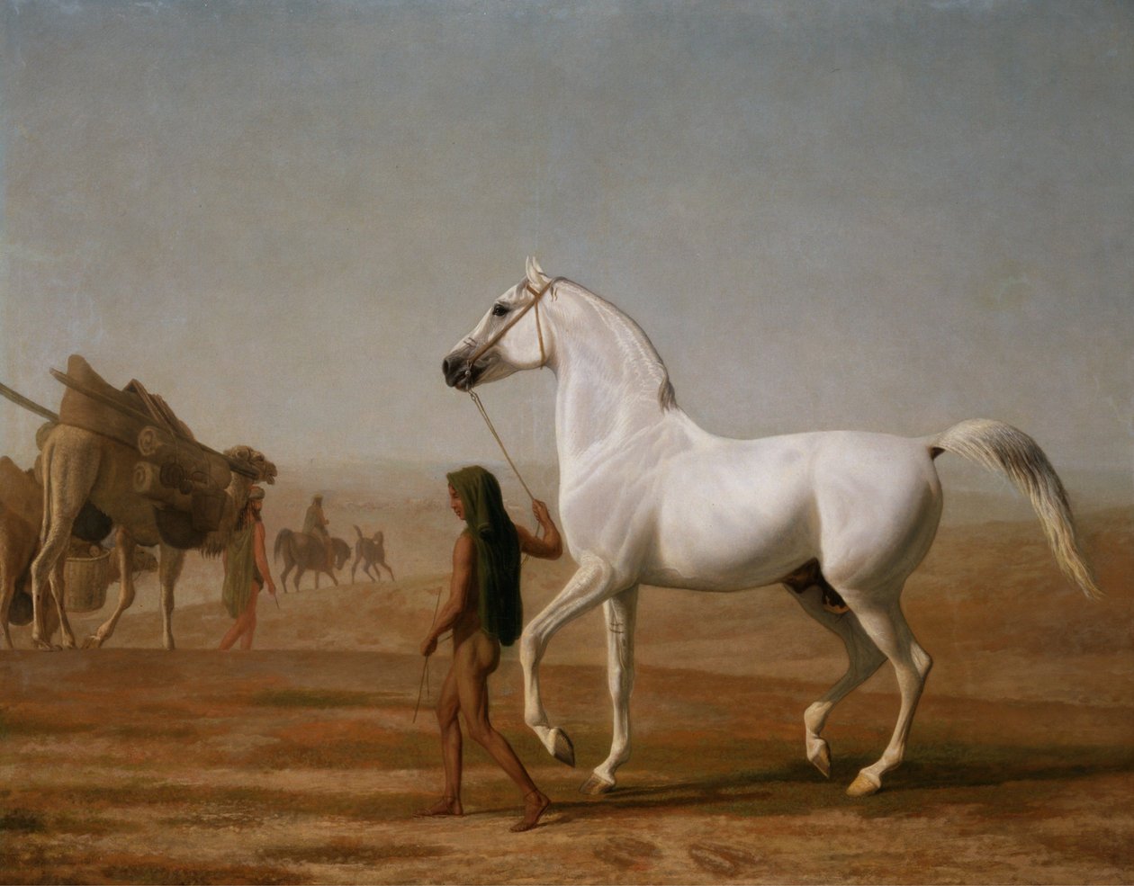 Der Wellesley Grey Araber durch die Wüste geführt von Jacques-Laurent Agasse