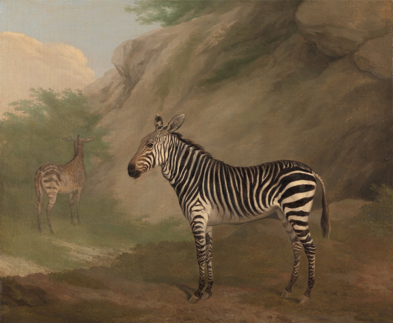 Zebra von Jacques-Laurent Agasse