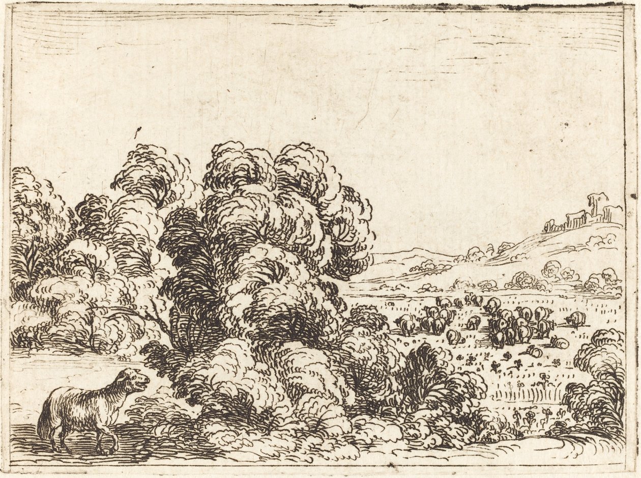 Schaf ruft Lamm von Jacques Callot